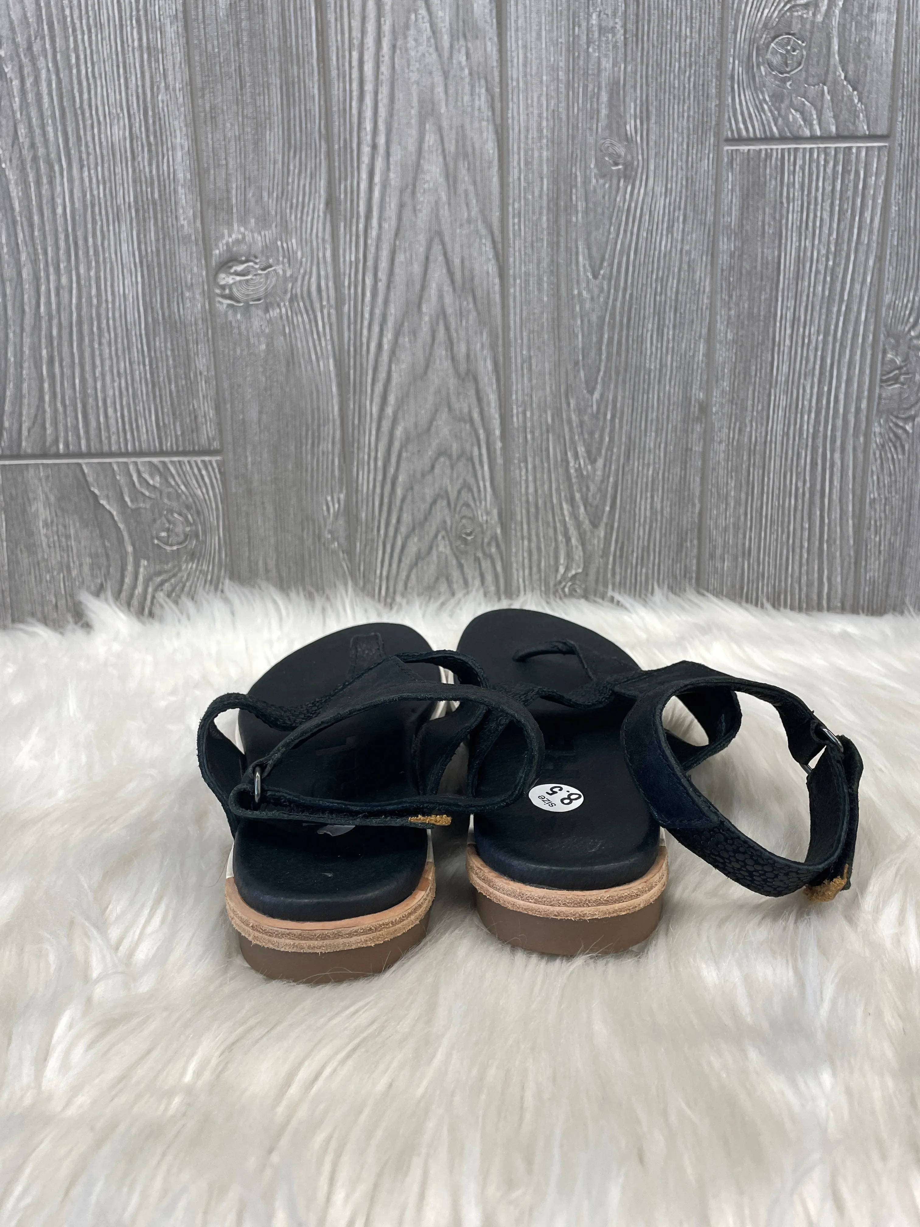 Black Sandals Flats Sorel, Size 8.5